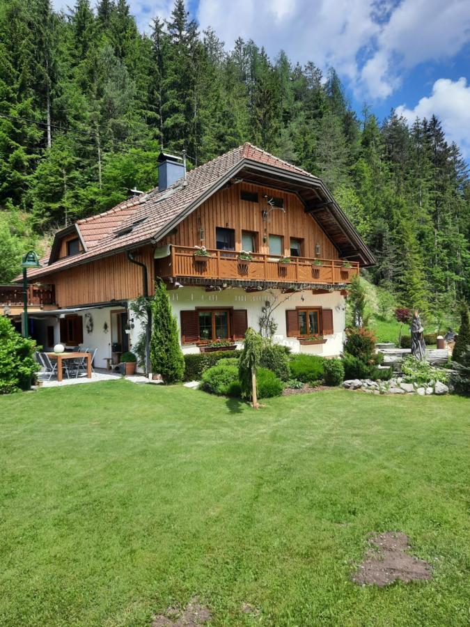 Haus Steinthaler Apartment Stockenboi ภายนอก รูปภาพ